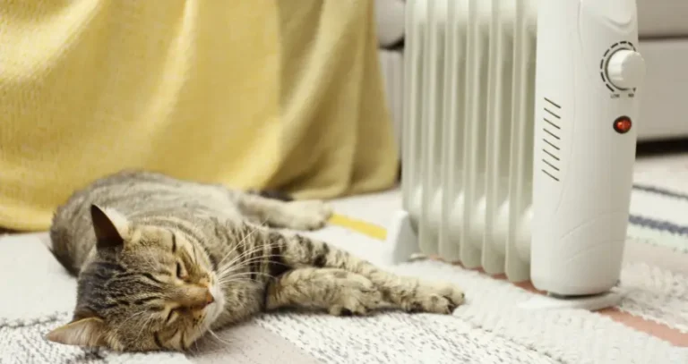 Pet Friendly Space Heaters